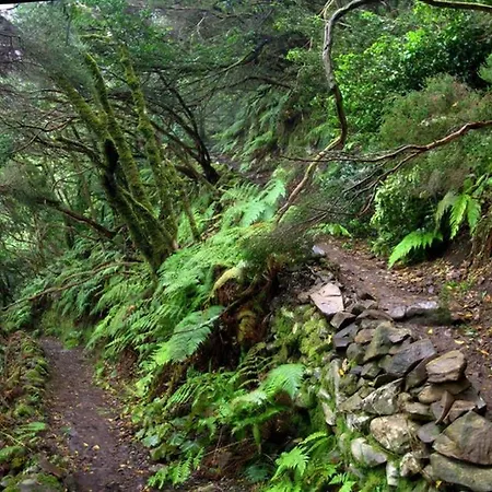 Daire Anaga Experience: Mountain And Retreat Taganana