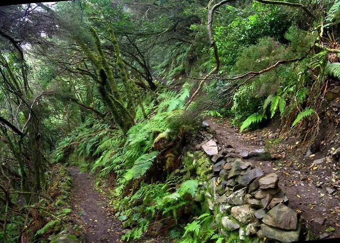 公寓 Anaga Experience: Mountain And Retreat 塔加纳纳