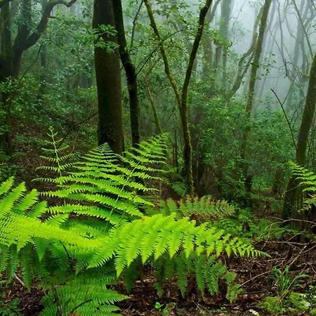 Anaga Experience: Mountain And Retreat Апартаменты Таганана