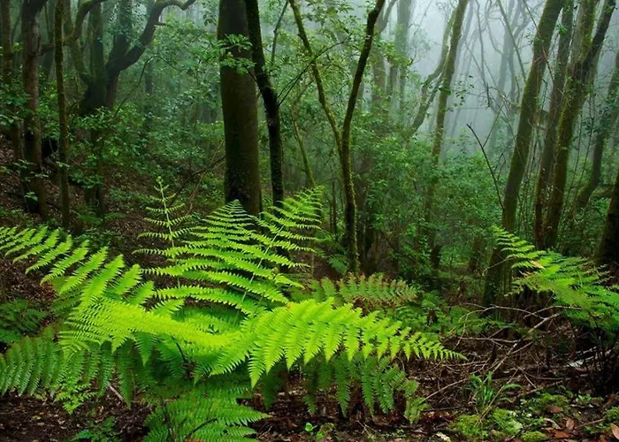 Anaga Experience: Mountain And Retreat Appartement Taganana